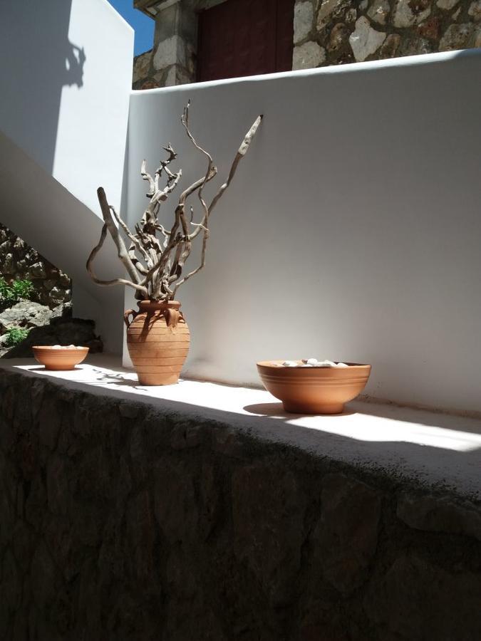 Villa Kostandin 科帕罗 外观 照片